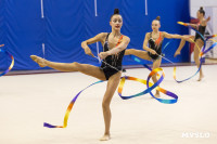 В Туле стартовало первенство Центрального федерального округа по художественной гимнастике, Фото: 75