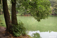 Загрязнение прудв в Платоновском парке, Фото: 9