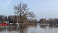 Затопленный Баташевский сад, Фото: 4