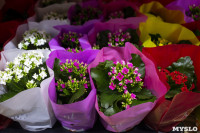 Леруа Мерлен Цветы к празднику, Фото: 29
