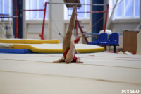 Спортивная гимнастика в Туле 3.12, Фото: 138
