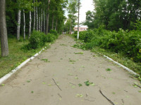 Ураган в Плавске, Фото: 4
