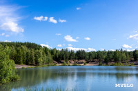 Тульские маршруты. Чекалин и его окрестности, Фото: 139