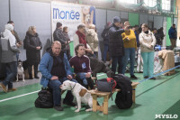 Выставка собак в Туле 24.11, Фото: 78