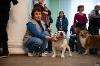 Выставка собак в ДК "Косогорец", Фото: 105