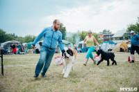 Всероссийская выставка собак в Туле, Фото: 97
