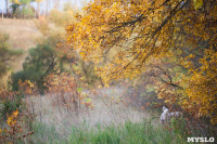 Золотая осень в Тульской области, Фото: 42