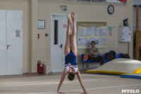 Первенство ЦФО по спортивной гимнастике среди  юниоров, Фото: 28