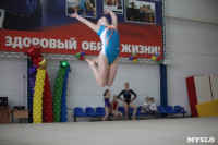 Соревнования по спортивной гимнастике на призы Заслуженных мастеров спорта , Фото: 37