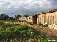 фермеры из Суворовского района боятся банкротства из-за иска от минсельзоха, Фото: 6