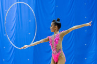 Художественная гимнастика, Фото: 109