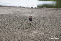 Почему обмелел пруд в Рогожинском парке Тулы?, Фото: 15