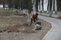 Вдоль веломаршрута «Лев Толстой» начали высаживать липы, Фото: 4