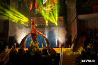 Цирковое шоу Жар птица, Фото: 127