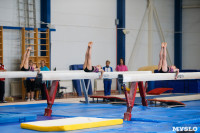 Соревнования по художественной гимнастике, Фото: 11