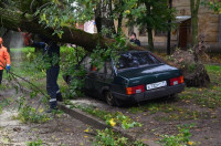 На автомобиль упало дерево, Фото: 9