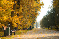 Золотая осень в Центральном парке, Фото: 15