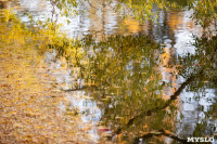 Золотая осень по-тульски, Фото: 107