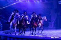 Цирковое шоу Жар птица, Фото: 113