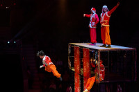 Успейте посмотреть шоу «Новогодние приключения домовенка Кузи» в Тульском цирке, Фото: 83