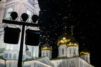 Нашествие мотыльков в кремле, Фото: 8