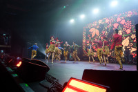 «Народный» концерт Надежды Кадышевой, Фото: 111