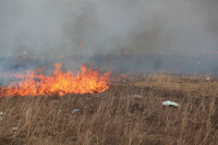 Возгорание сухой травы напротив ТЦ "Метро", 7.04.2014, Фото: 16
