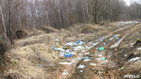Поселок Славный в Тульской области зарастает мусором, Фото: 15