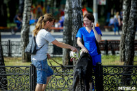 В Центральном парке Тулы проходит фестиваль помощи животным, Фото: 4