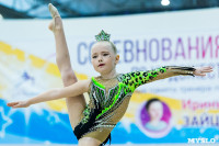 Тула провела крупный турнир по художественной гимнастике, Фото: 43