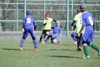 XIV Межрегиональный детский футбольный турнир памяти Николая Сергиенко, Фото: 17
