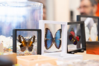 Вершина зимы-2026, Фото: 88