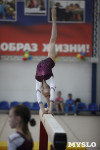 Соревнования по спортивной гимнастике на призы Заслуженных мастеров спорта , Фото: 75