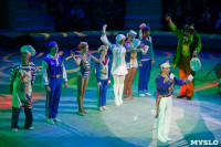 "Тайна пирата" в Тульском цирке, Фото: 123