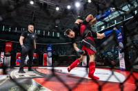 В «Тула-Арене» состоялись областные соревнования по ММА, Фото: 36