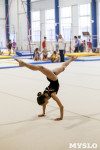 Спортивная гимнастика в Туле 3.12, Фото: 183