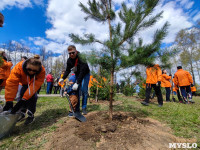 ЕВРАЗ посадил в Пролетарском парке 100 деревьев, Фото: 52