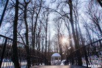 Морозное утро в Платоновском парке, Фото: 2