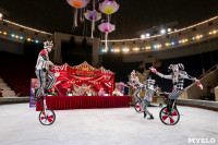Грандиозное цирковое шоу «Песчаная сказка» впервые в Туле!, Фото: 10