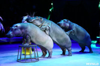 Грандиозное цирковое шоу «Песчаная сказка» впервые в Туле!, Фото: 45