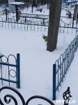 Кто устроил беспредел на кладбище Горняк, Фото: 13