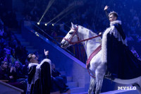 Цирковое шоу Жар птица, Фото: 35