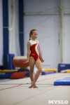 Спортивная гимнастика в Туле 3.12, Фото: 136