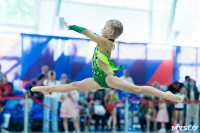 Тула провела крупный турнир по художественной гимнастике, Фото: 60