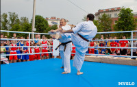 Турнир по боксу в Алексине, Фото: 18