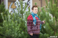В Тульском кремле открылась новогодняя елка, Фото: 23