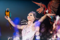 Шоу фонтанов «13 месяцев»: успей увидеть уникальную программу в Тульском цирке, Фото: 42