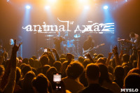 В Туле выступила группа Animal ДжаZ, Фото: 41