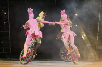 В Тульском цирке прошла премьера аква-шоу, Фото: 31