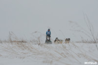 Гонки на собачьих упряжках «Большой тур» на Куликовом поле, Фото: 44
